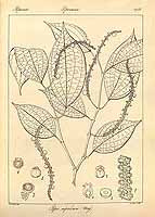  no thumbnail available