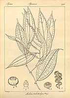  no thumbnail available