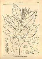  no thumbnail available