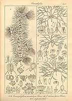  no thumbnail available