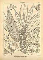  no thumbnail available