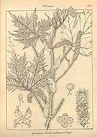  no thumbnail available