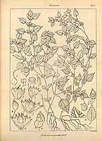  no thumbnail available