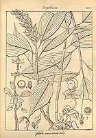  no thumbnail available