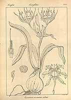  no thumbnail available