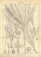  no thumbnail available