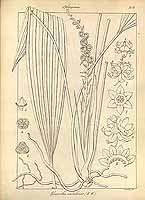  no thumbnail available