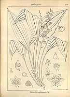  no thumbnail available