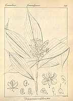  no thumbnail available