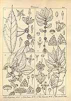  no thumbnail available