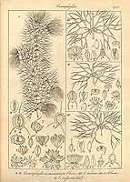  no thumbnail available