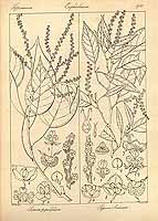  no thumbnail available