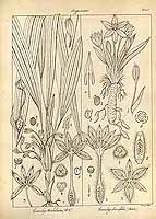  no thumbnail available