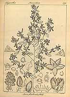  no thumbnail available