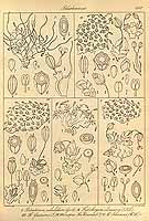  no thumbnail available