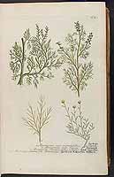  no thumbnail available