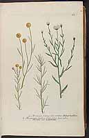  no thumbnail available