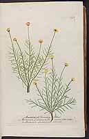  no thumbnail available