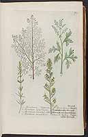  no thumbnail available