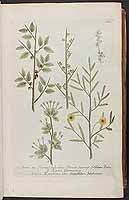  no thumbnail available