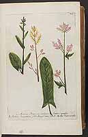  no thumbnail available