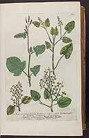  no thumbnail available