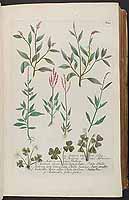  no thumbnail available