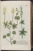  no thumbnail available