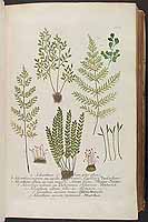  no thumbnail available