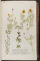  no thumbnail available