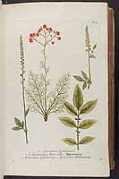  no thumbnail available