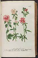  no thumbnail available