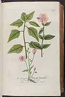  no thumbnail available