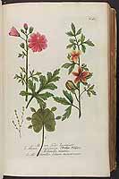  no thumbnail available