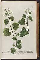  no thumbnail available