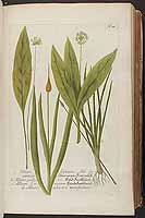  no thumbnail available