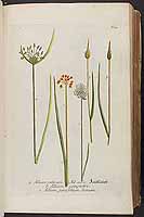  no thumbnail available