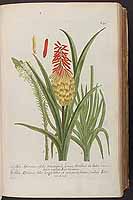  no thumbnail available