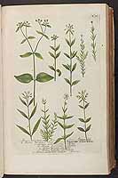  no thumbnail available