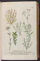  no thumbnail available