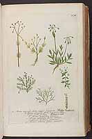  no thumbnail available