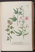  no thumbnail available