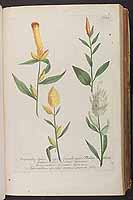  no thumbnail available