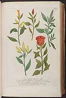  no thumbnail available