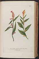  no thumbnail available