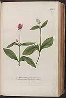  no thumbnail available