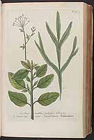  no thumbnail available