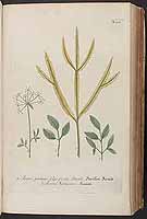  no thumbnail available