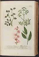  no thumbnail available