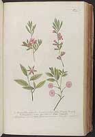  no thumbnail available